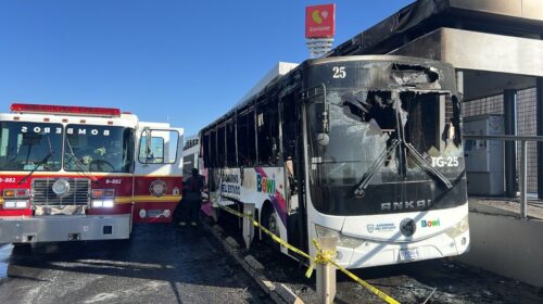 “GALERÍA “ ASÍ QUEDÓ EL BOWÍ